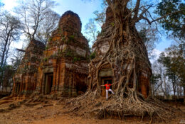 Vietnam_and_Cambodia_2025 (2/75)